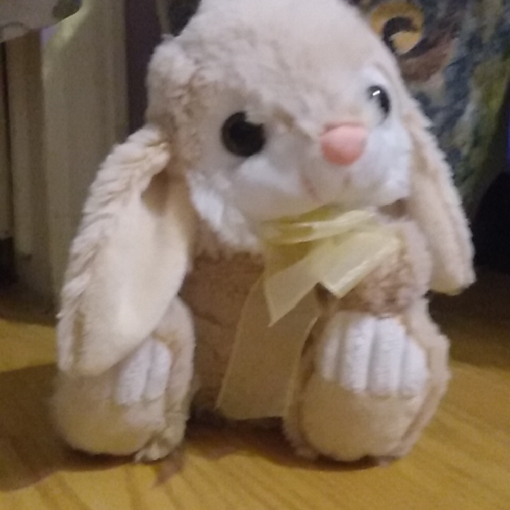 Small bunny stuffed animal